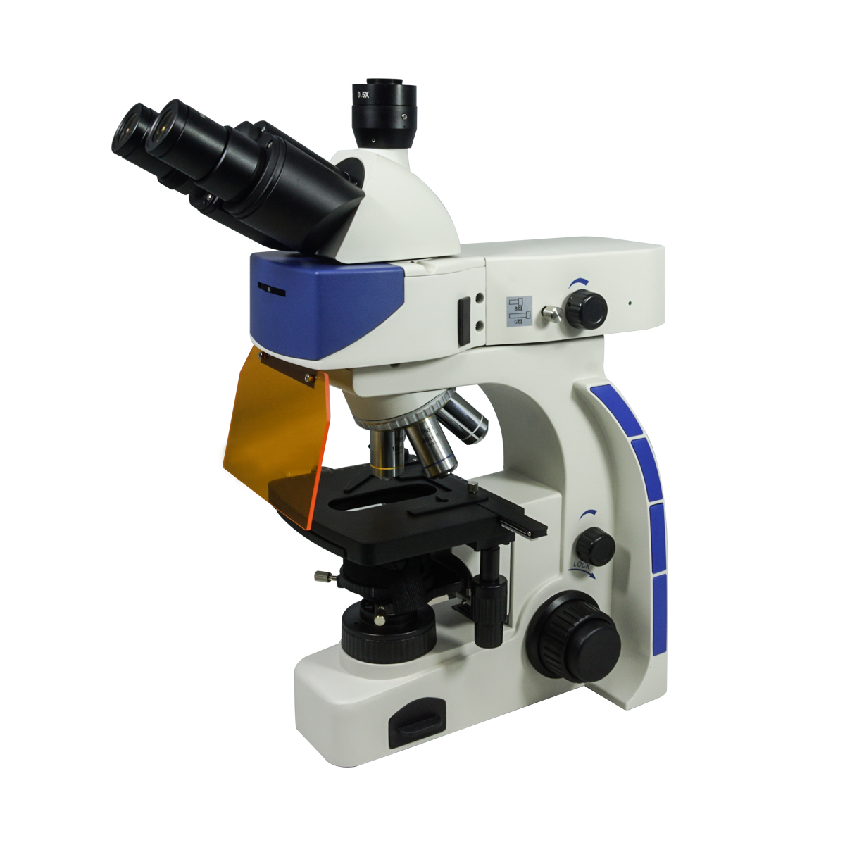 Fluorescence Microscope